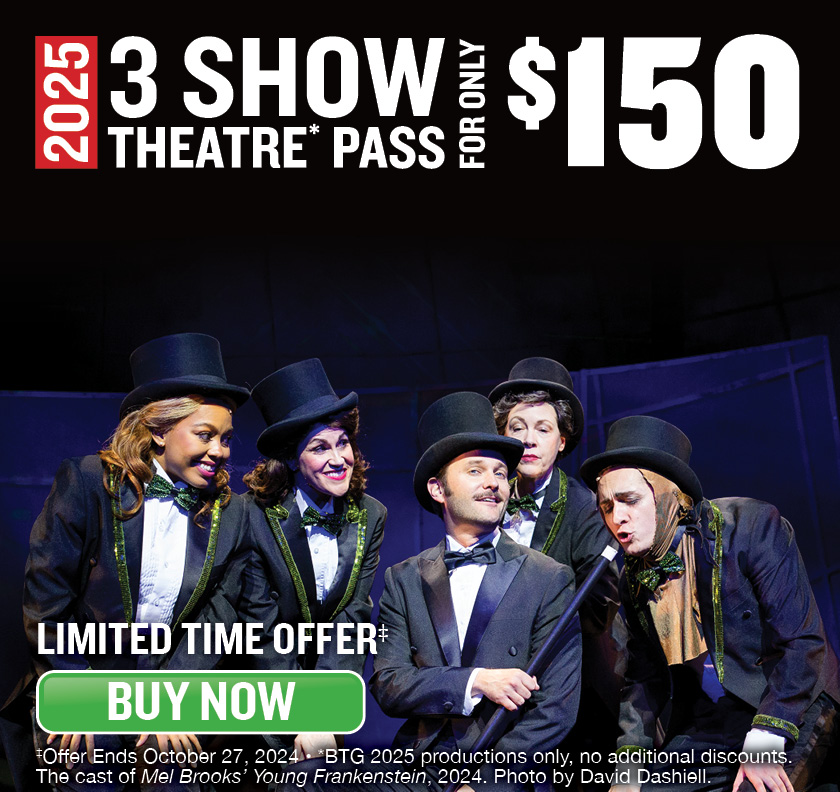 3 Show Theatre Pass